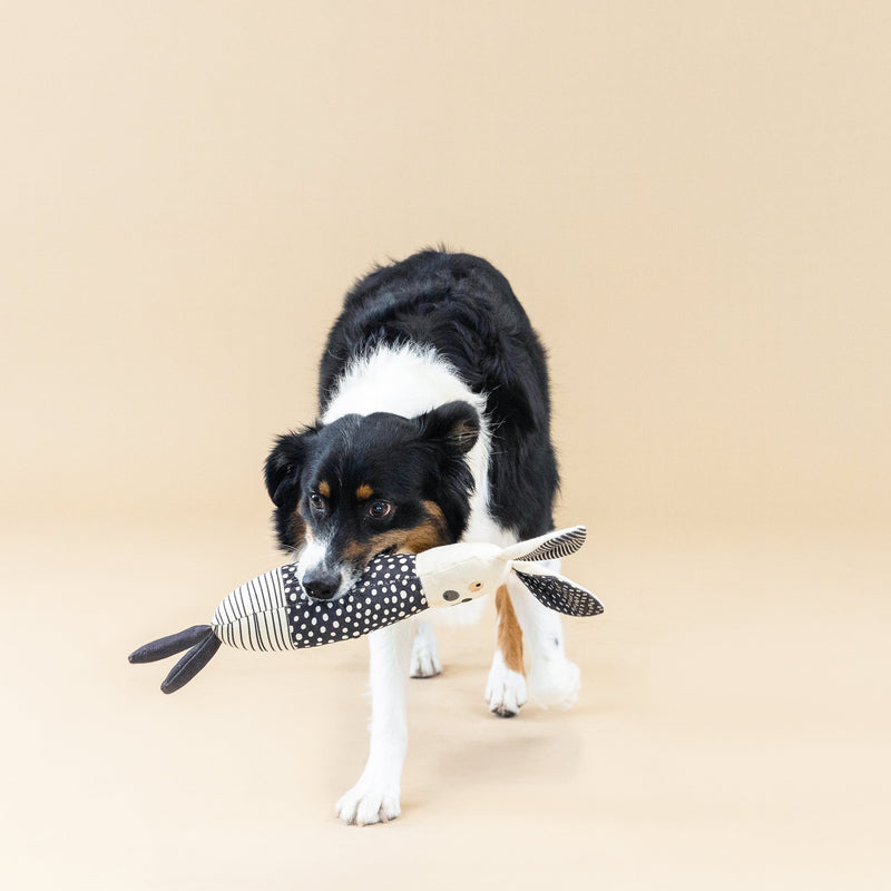 All Ears Rabbit Canvas Dog Toy