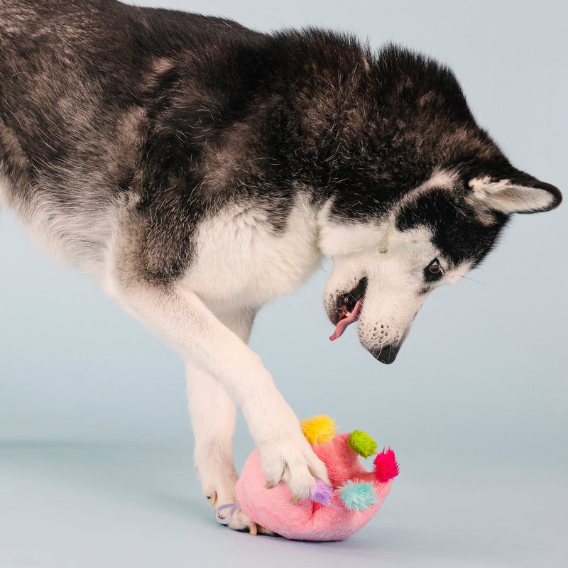If The Crown Fits Happy Birthday Plush Dog Toy