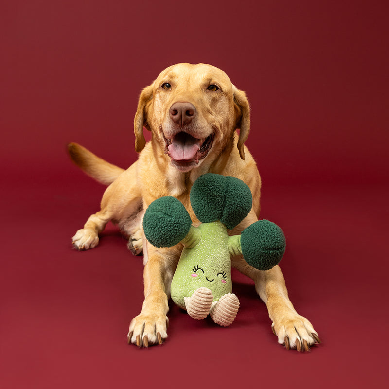 Brocc Star Plush Dog Toy