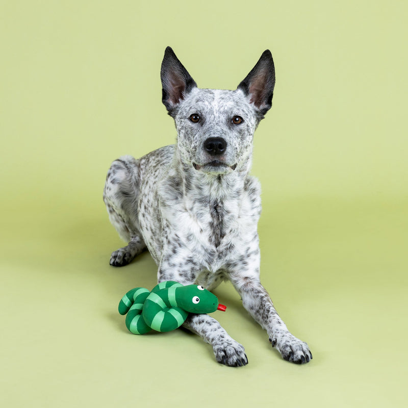 Knotty By Nature Snake Latex Dog Toy