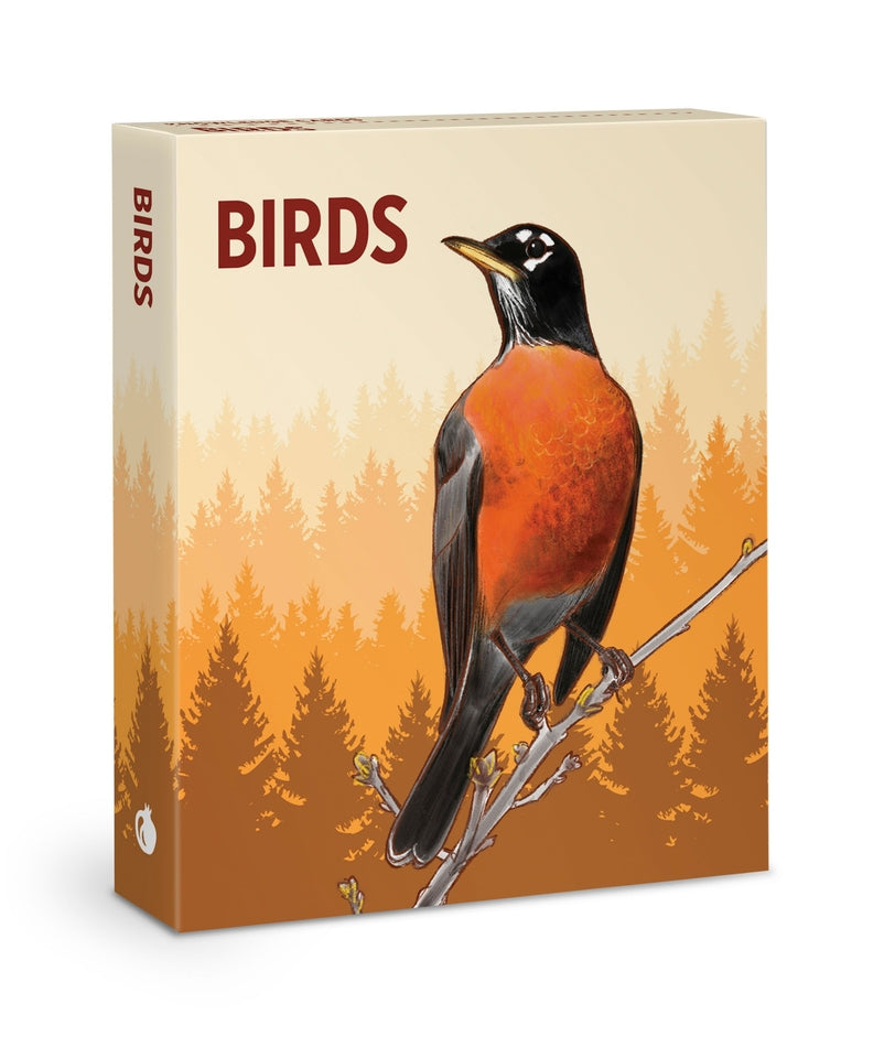 Birds Knowledge Card Deck
