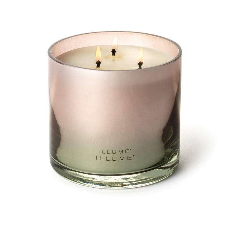 Statement Glass Triple Wick Candle Coconut Milk Mango Lifestyle