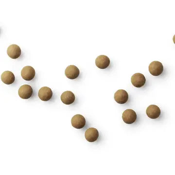 The Original Danish Chocolate Covered Black Licorice