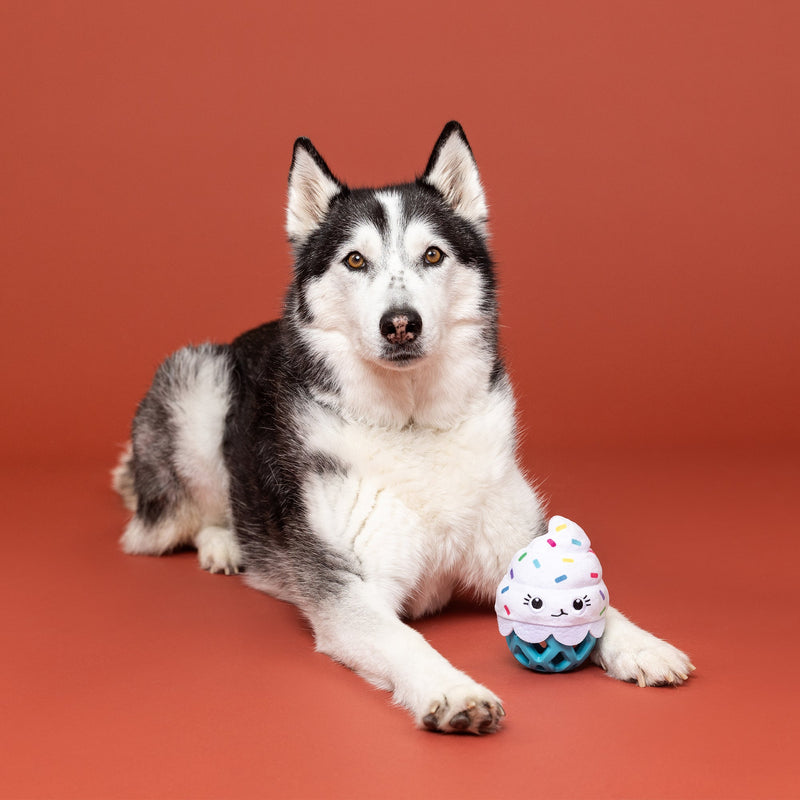 Here For The Cupcakes Rubber/Plush Treat Dispenser Dog Toy