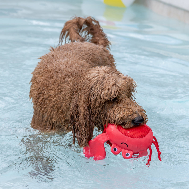 Claws Crab Floating Pool Dog Toy