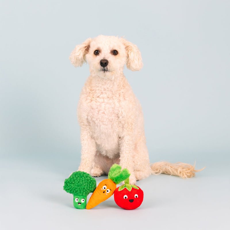 Farm to Table Vegetables Small Dog 3 Piece Toy Set