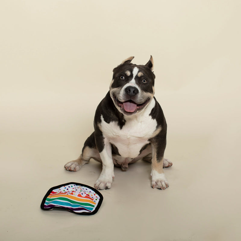Piece of Cake Durable Rainbow Dog Toy
