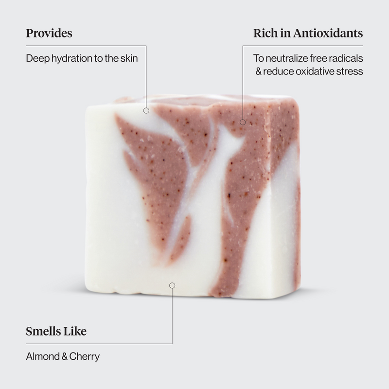 Shea Butter Exfoliating Body Wash Bar