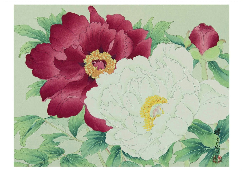 Haiku: Seasonal Japanese Art and Poetry Boxed Notecard Assortment Interior Style 1 - Ikeda Zuigetsu (Japanese, 1877–1944), Peonies, c. 1930s