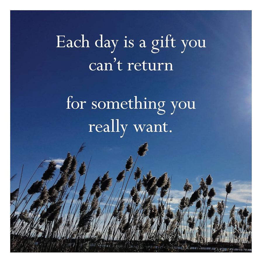 2026 Wall Calendar: Disappointing Affirmations