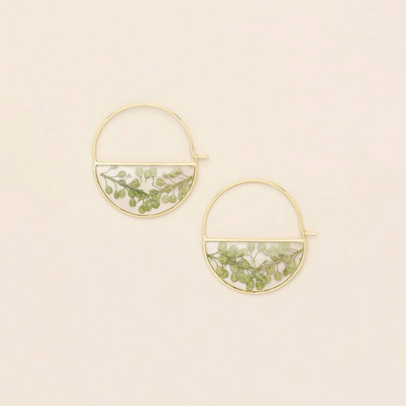 Pressed Flower Hoop Earrings - Gold - Green Peppergrass