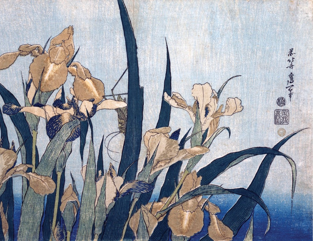 Hokusai Keepsake Boxed Notecards Interior Style 4 - Grasshopper and Iris, late 1820s