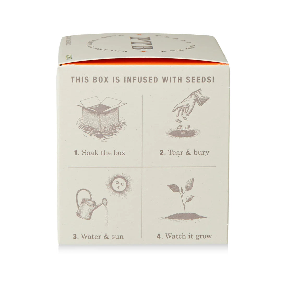 Catalan Calendula - Pure Soy Candle Plantable Box