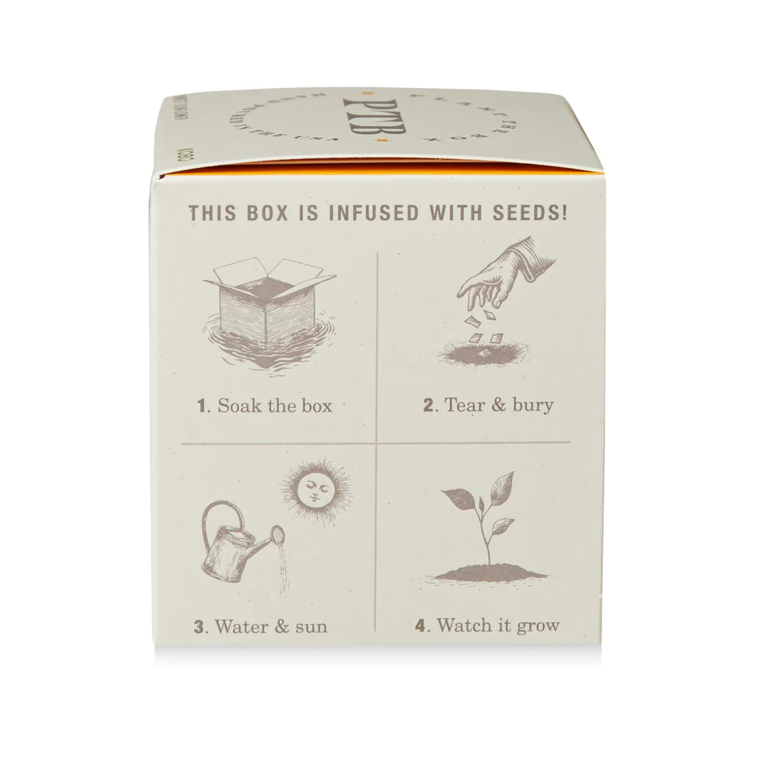 Sweet Sunflower - Pure Soy Plant The Box Candle - Hello World Modern Mercantile