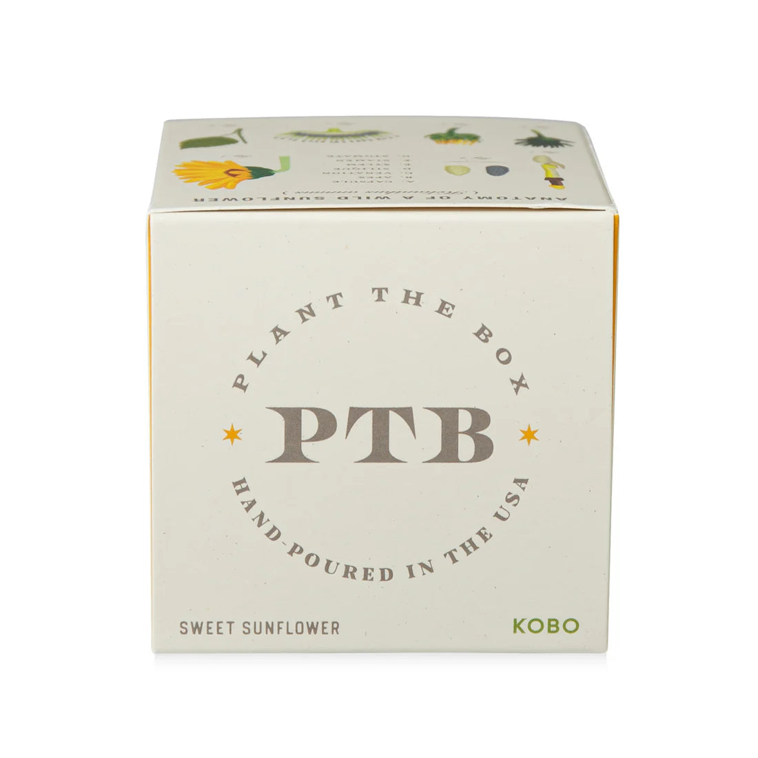 Sweet Sunflower - Pure Soy Plant The Box Candle - Hello World Modern Mercantile