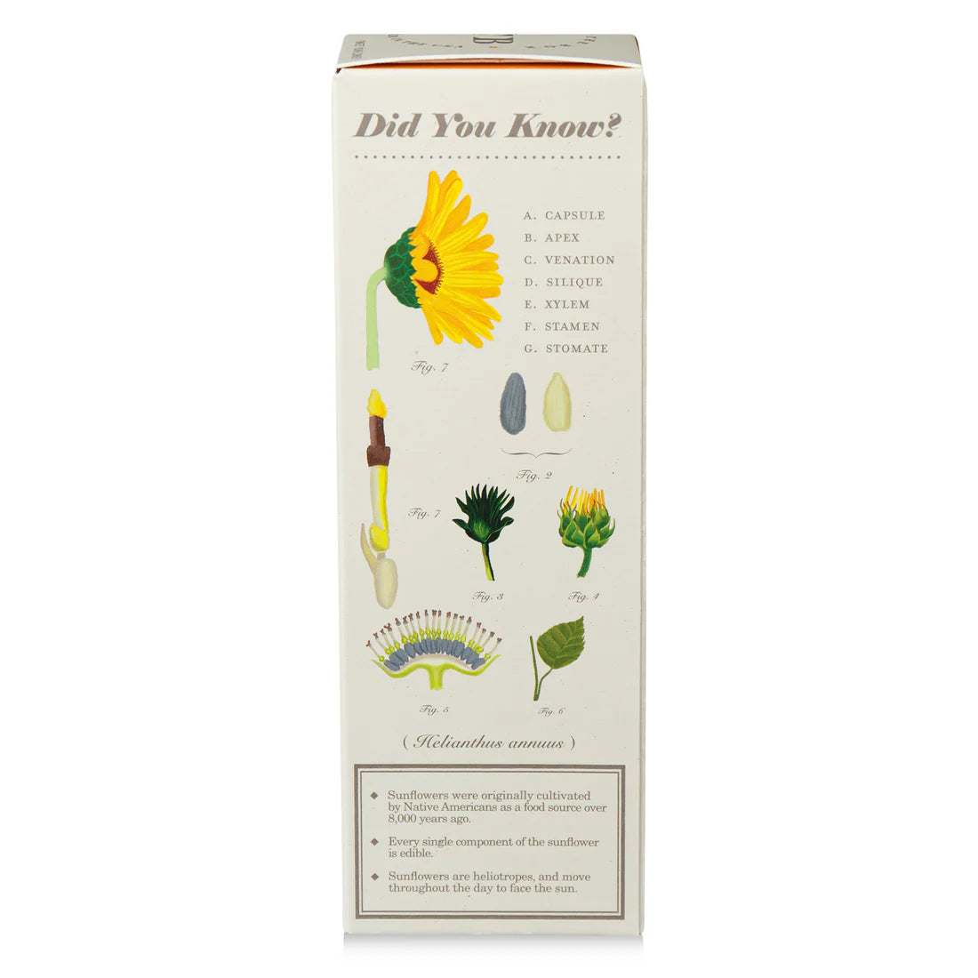 Sweet Sunflower - Plant The Box Scented Reed Diffuser