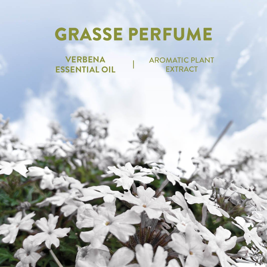 Essential Oil Eau de Toilette Roll-On Perfume - Relaxing Verbena