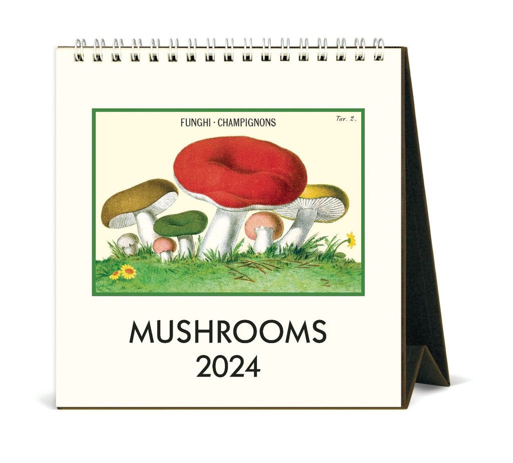 Cavallini Paper Vintage 2024 Desk Calendar Mushrooms Front
