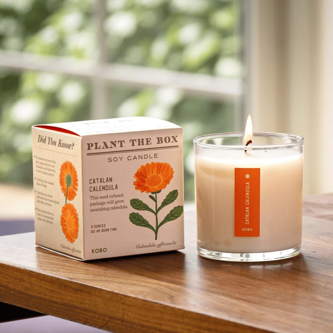 Catalan Calendula - Pure Soy Candle Plantable Box