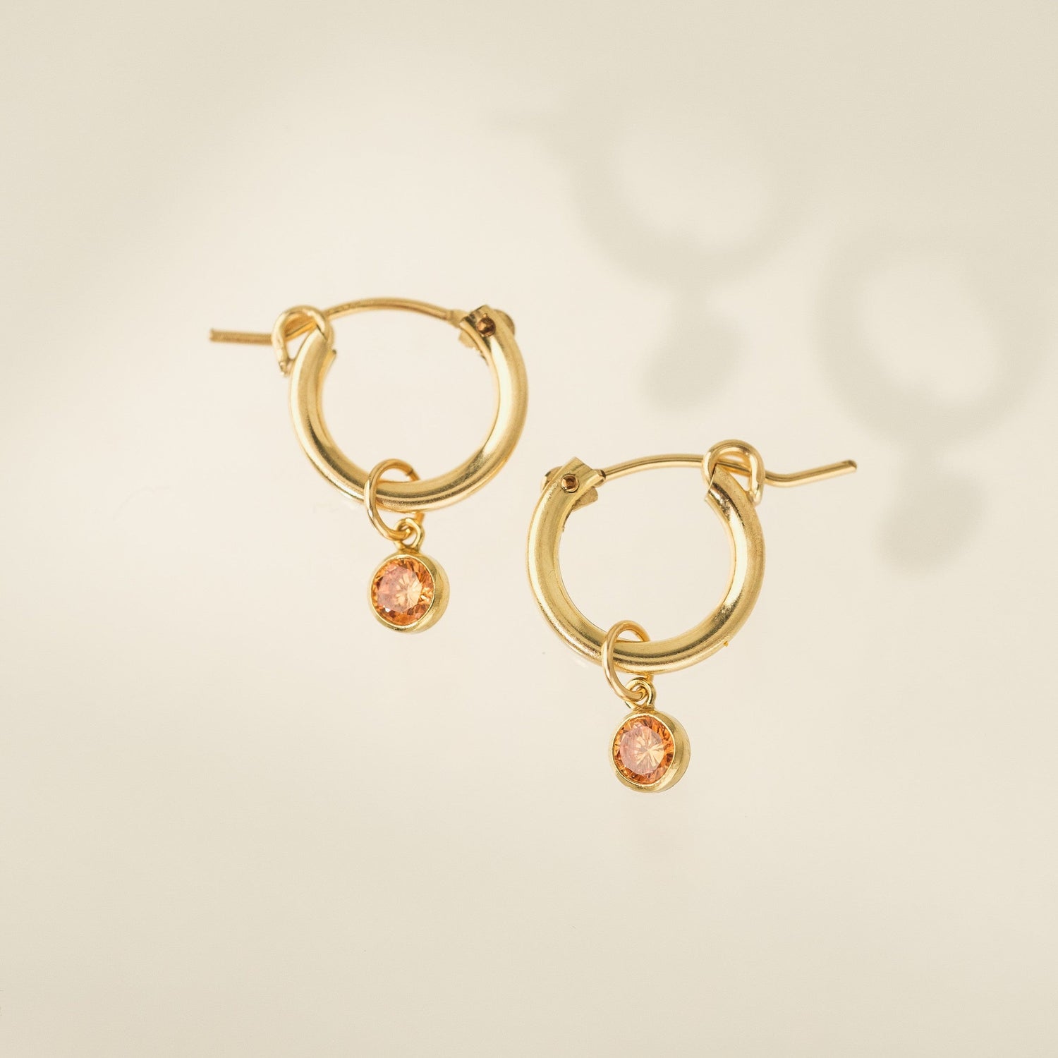 November Birthstone Gold-Filled Hoop Earrings