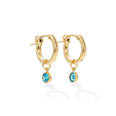 December Birthstone Gold-Filled Hoop Earrings