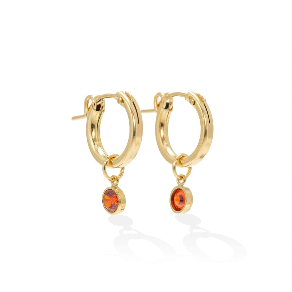 January Birthstone Gold-Filled Hoop Earrings