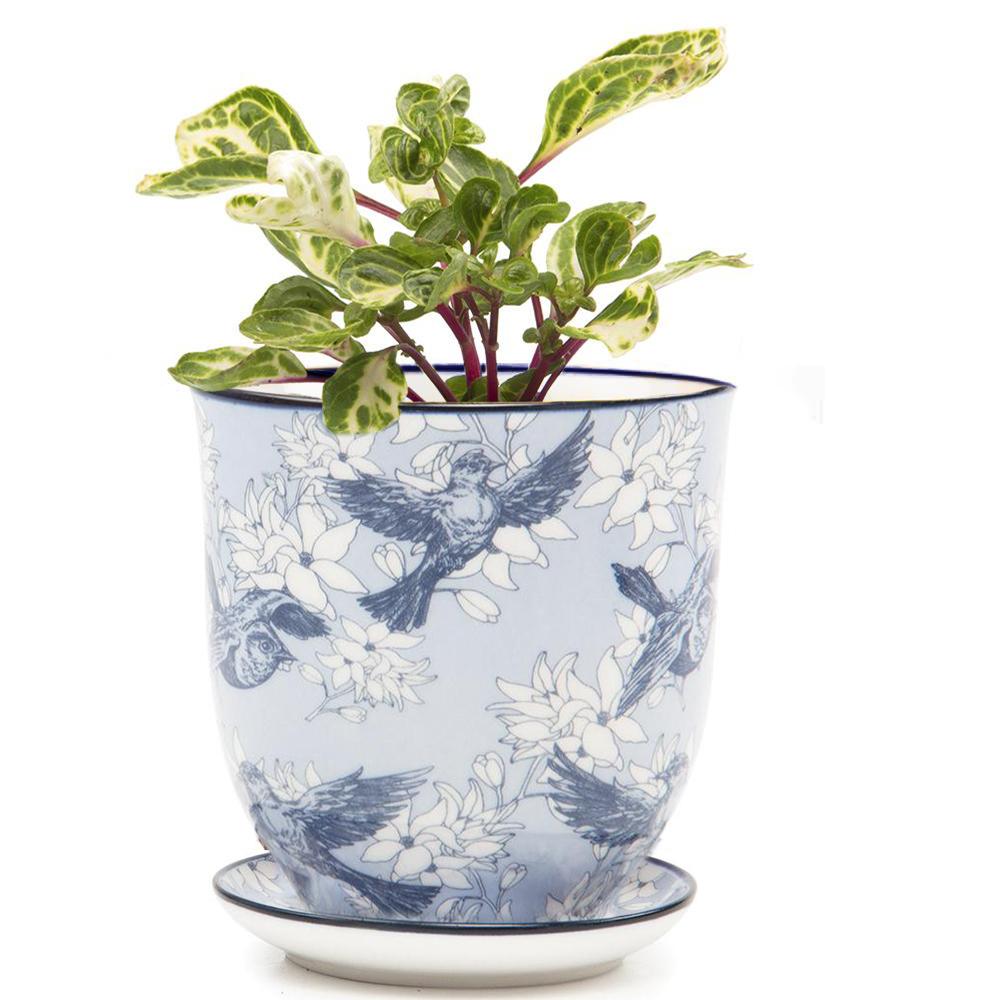 Blue Swallows - Liberte Planter Pot + Saucer