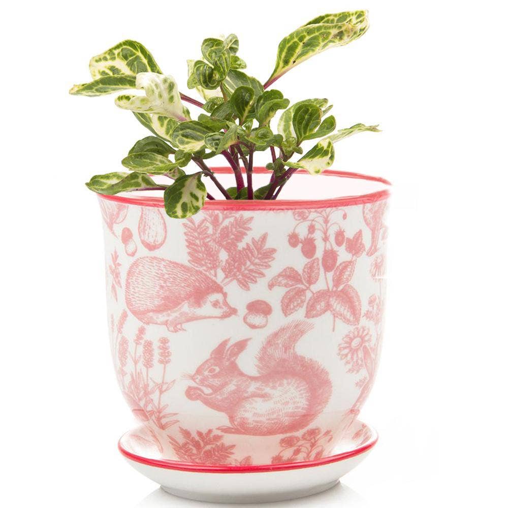 Red Squirrel - Liberte Planter Pot + Saucer