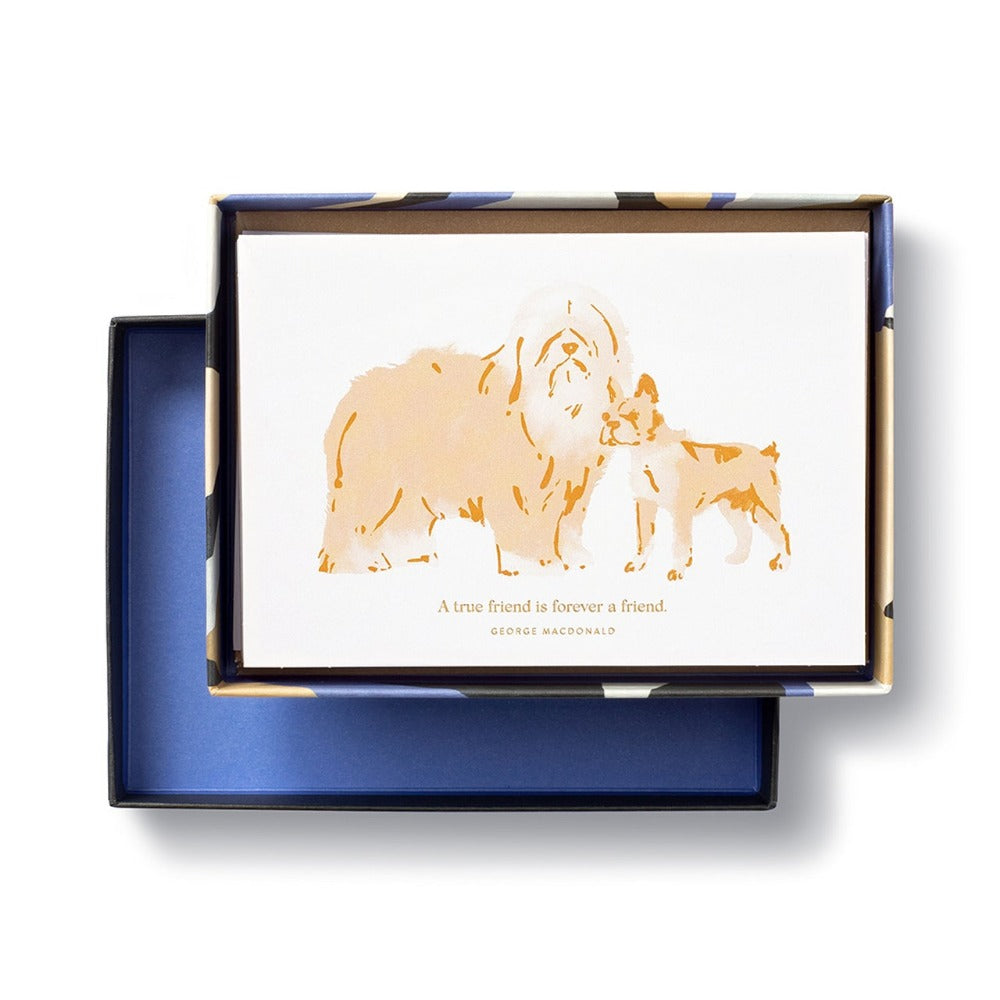 Dog-Themed Boxed Note Cards for Appreciation & Friendship Interior