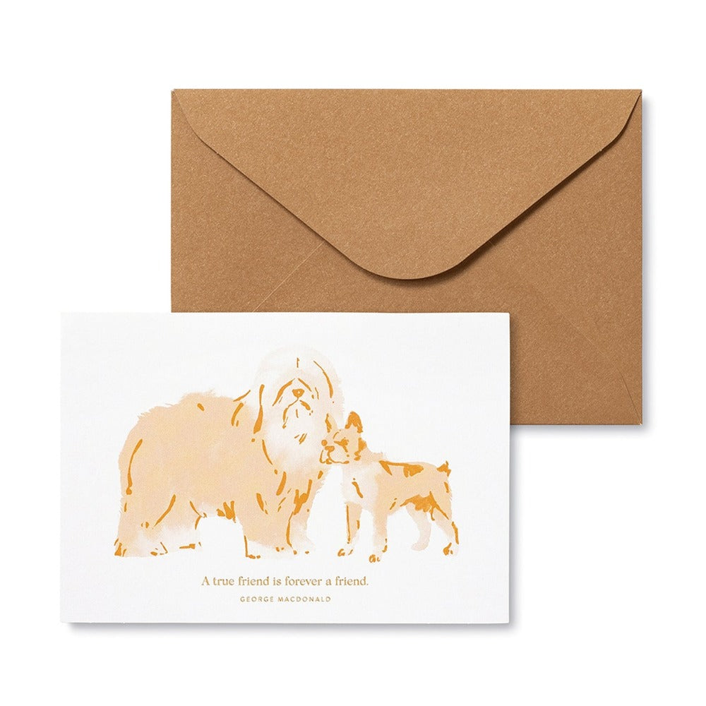 Dog-Themed Boxed Note Cards for Appreciation & Friendship Style 1