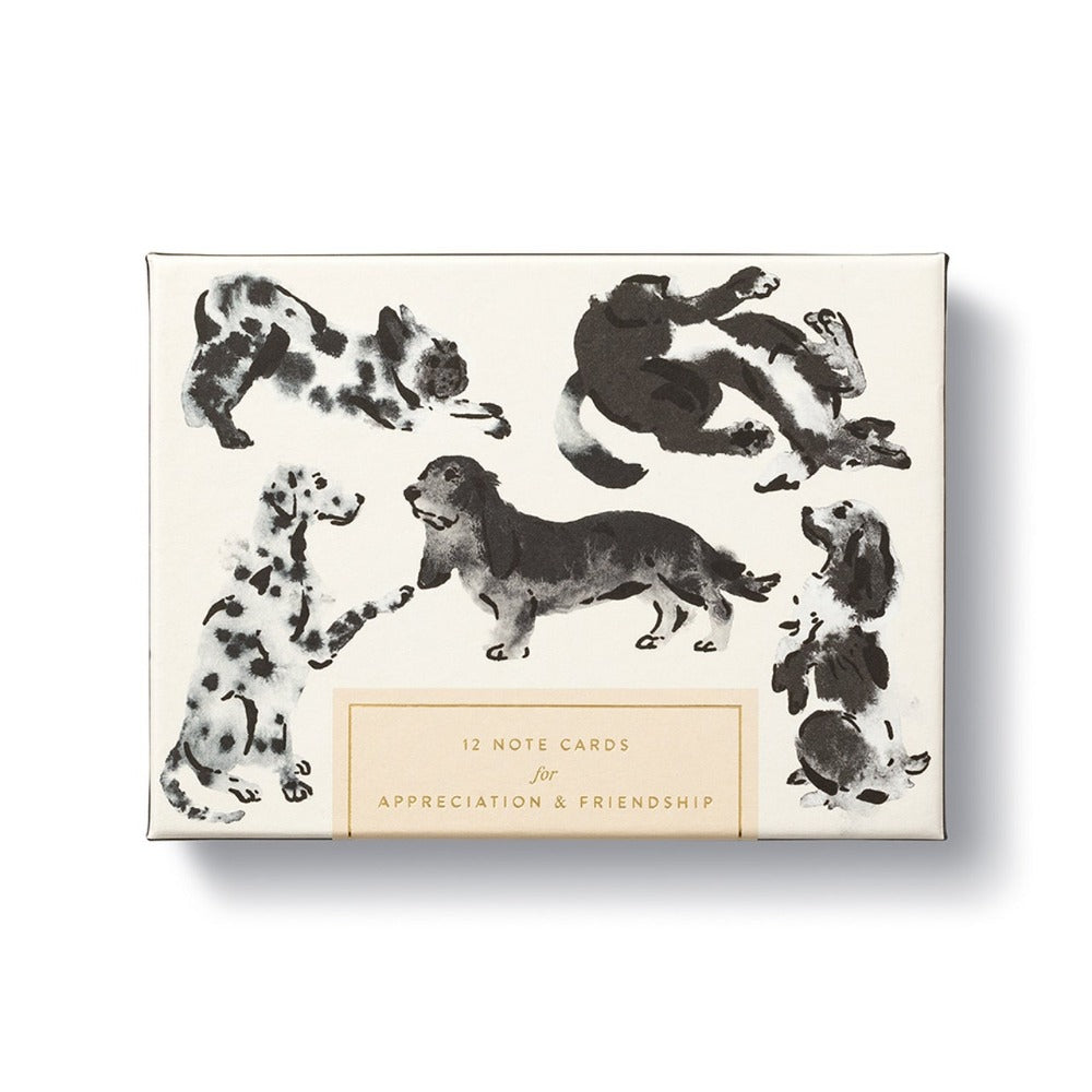 Dog-Themed Boxed Note Cards for Appreciation & Friendship