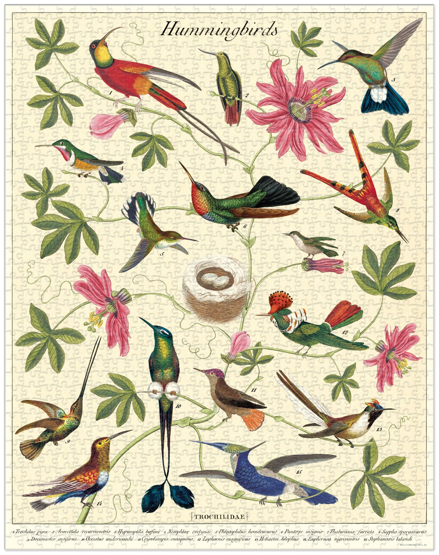 Hummingbird - Vintage 1000 Piece Puzzle