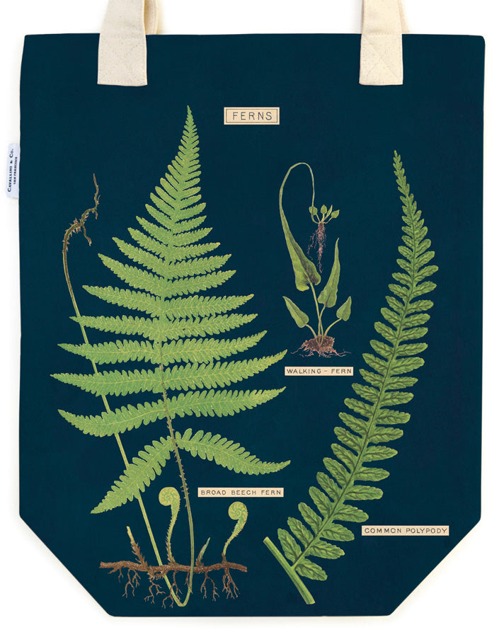 Vintage Print Canvas Tote Bag - Fern - Hello World Modern Mercantile