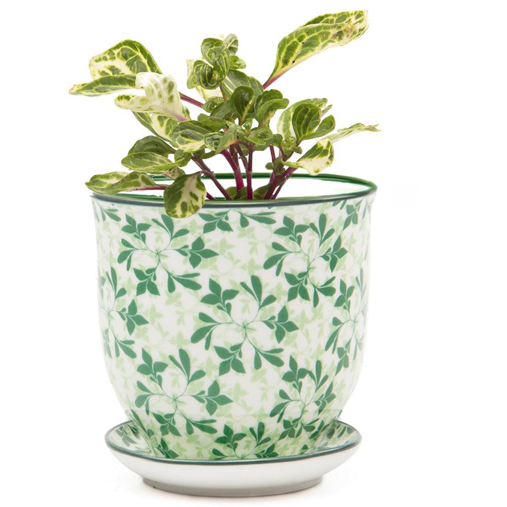 Green Leaves - Liberte Planter Pot + Saucer