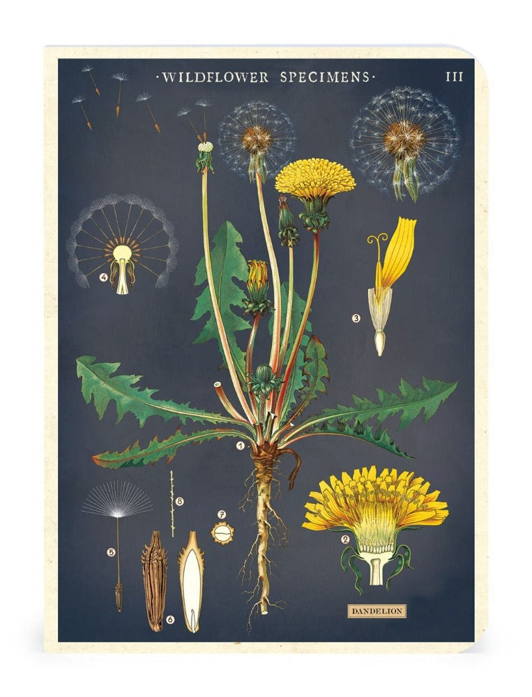 Wildflowers - Vintage Mini Notebooks