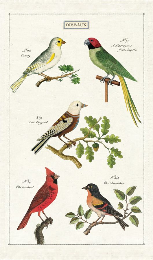 Birds - Vintage Tea Towel