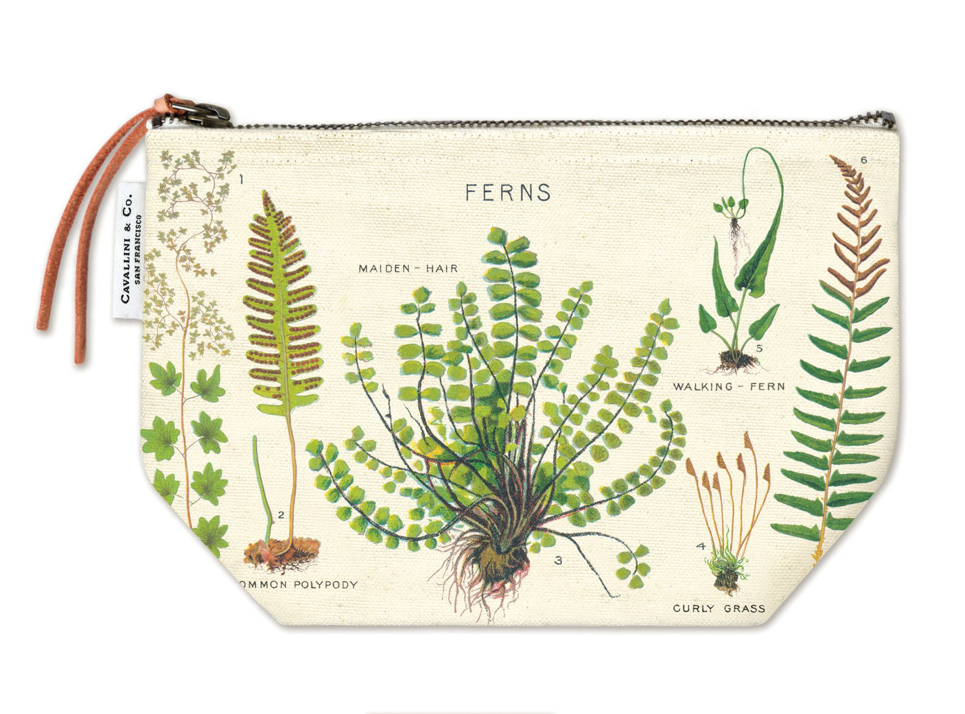 Ferns - Vintage Zipper Pouch