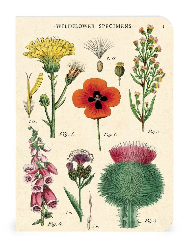 Wildflowers - Vintage Mini Notebooks
