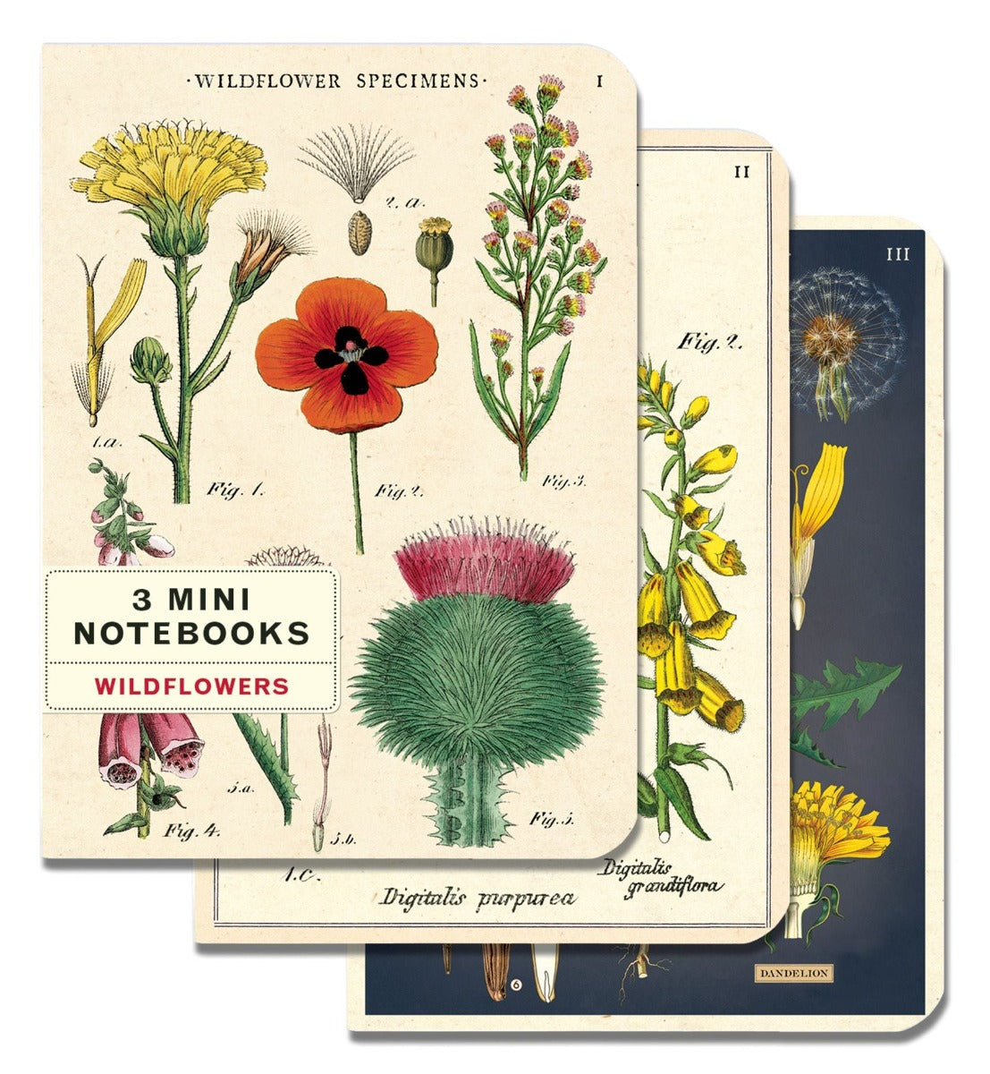 Wildflowers - Vintage Mini Notebooks
