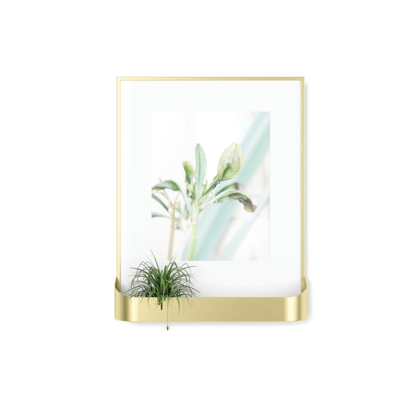 Matte Brass Matinee (8 x 10) Photo Frame Shelf