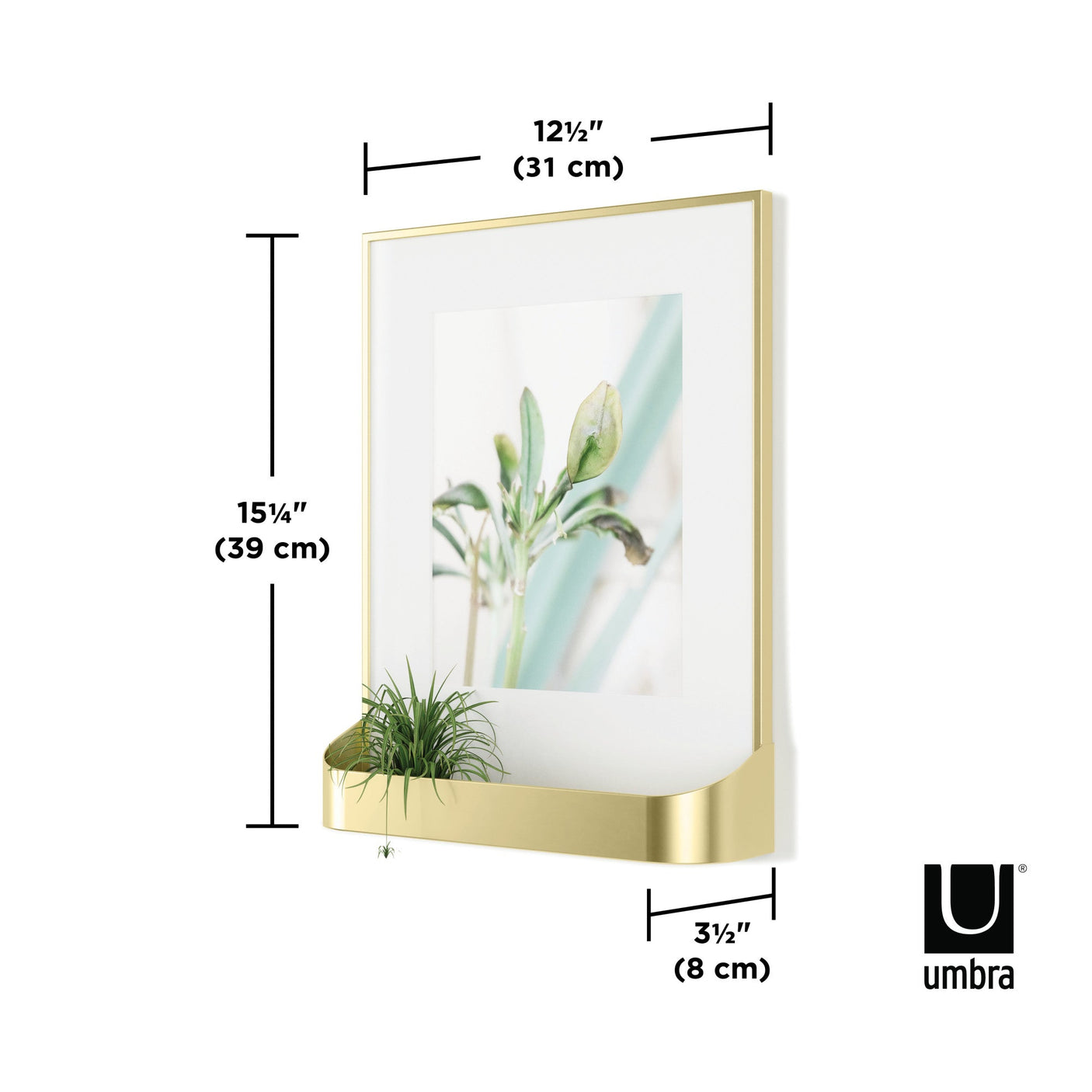 Matte Brass Matinee (8 x 10) Photo Frame Shelf