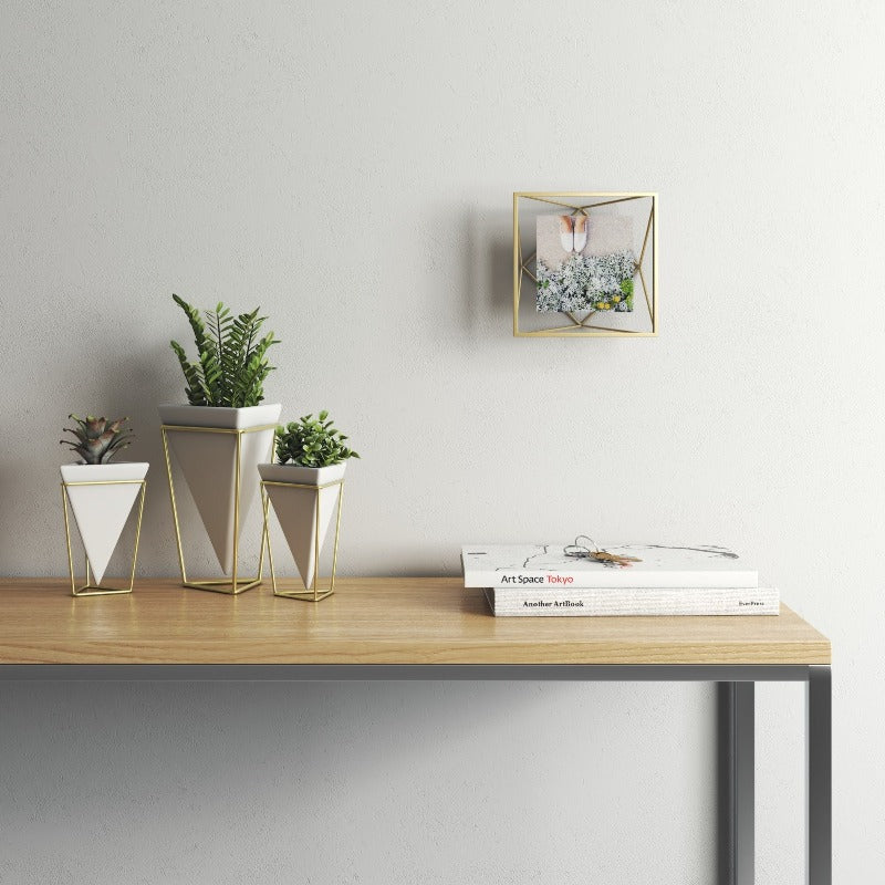 4x4 Prisma Frame - Matte Brass