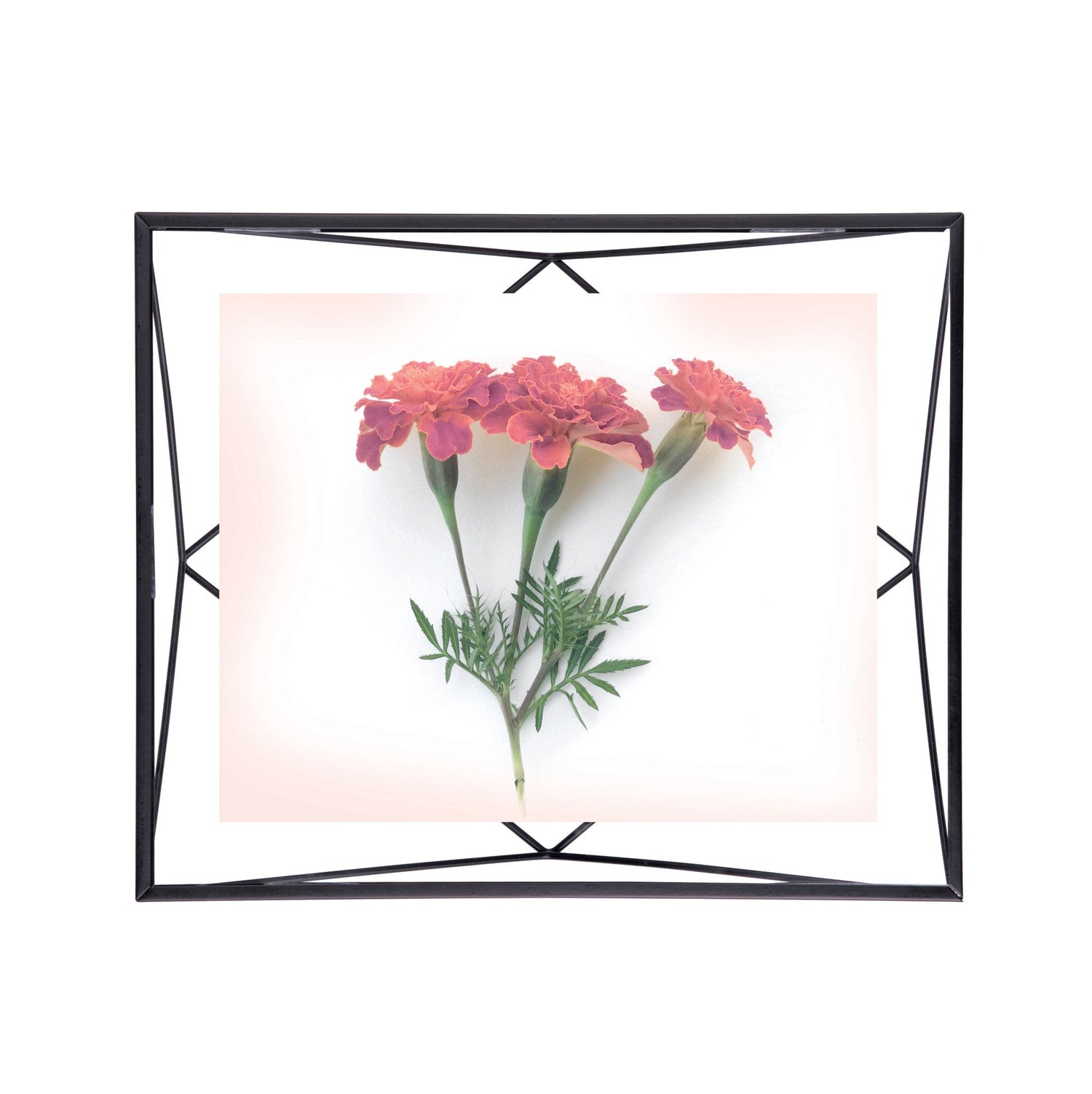 50% Off Final Sale - 8x10 Prisma Frame - Black