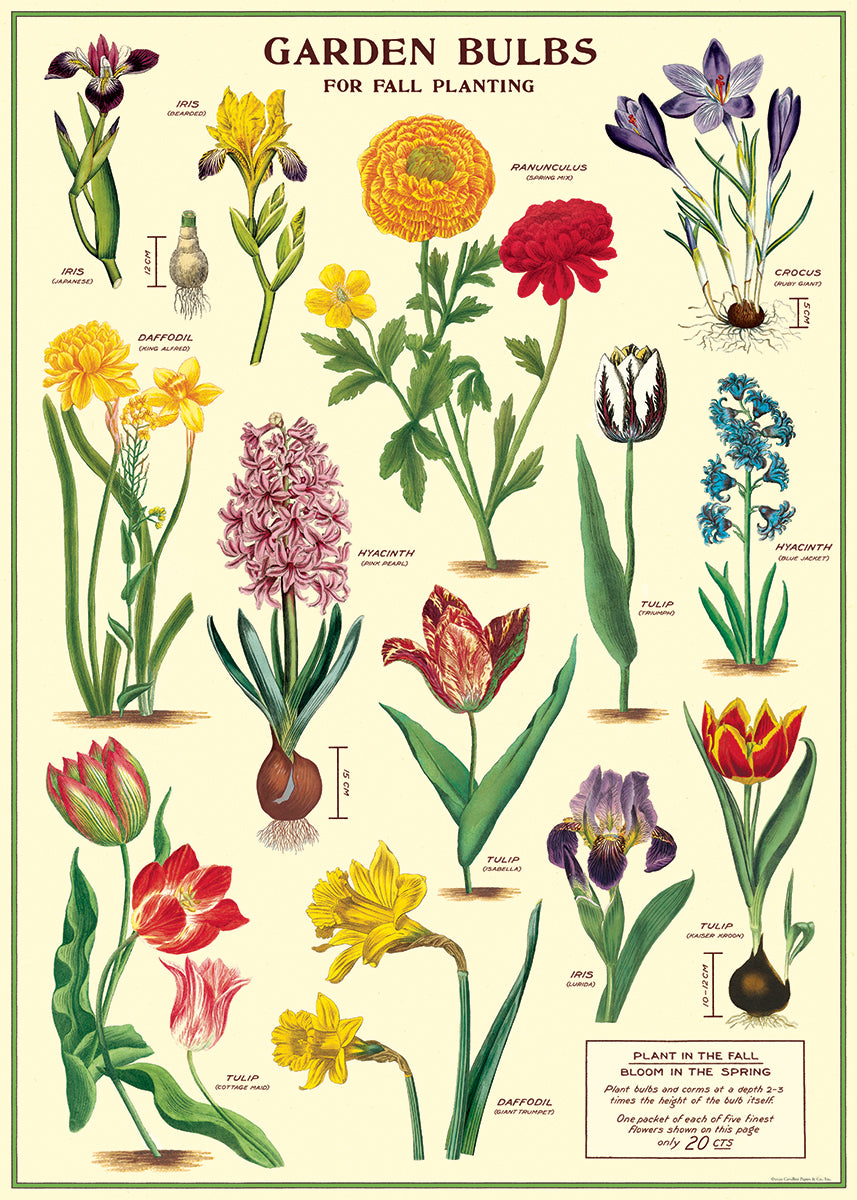 Vintage style illustrations of Flowers in a variety of type and color.