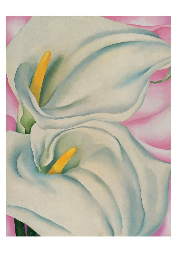 Georgia O’Keeffe: Two Calla Lilies on Pink Small Boxed Cards Interior