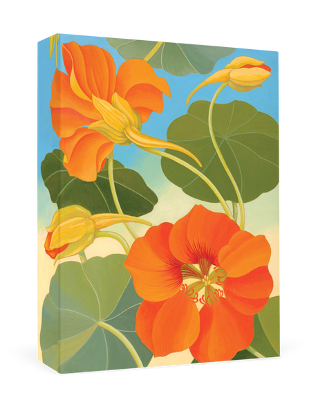 Siri Schillios: Nasturtium Boxed Thank You Notes Front