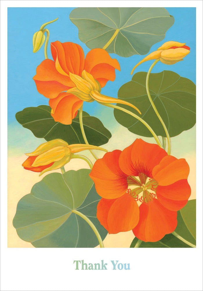 Siri Schillios: Nasturtium Boxed Thank You Notes Interior