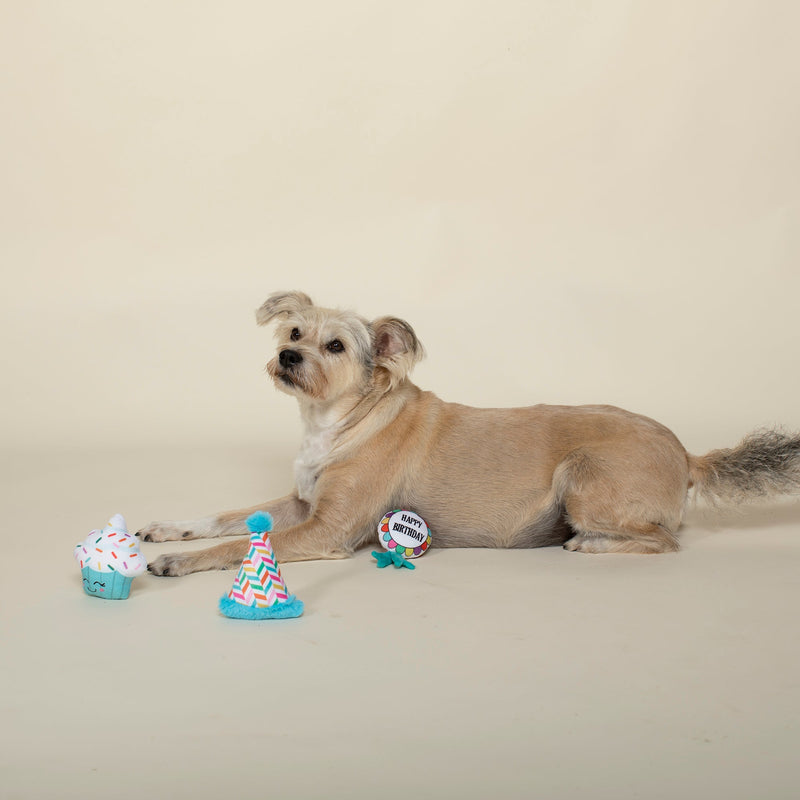 Happy Bark Day Small Dog Birthday 3 Piece Toy Set