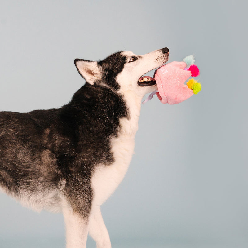 If The Crown Fits Happy Birthday Plush Dog Toy