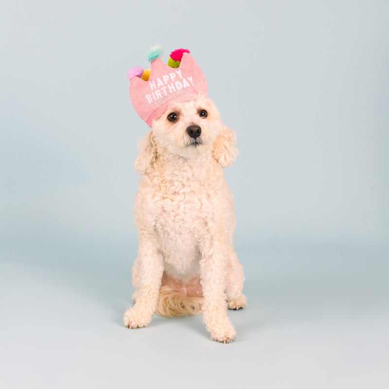 If The Crown Fits Happy Birthday Plush Dog Toy